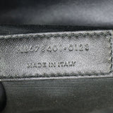Saint Laurent Toy Loulou_IMG_5875.jpg