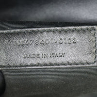 Saint Laurent Toy Loulou_IMG_5875.jpg