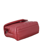 Saint Laurent Toy Loulou_IMG_6465.jpeg