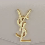 Saint Laurent Uptown Pouch_IMG_2672.jpg
