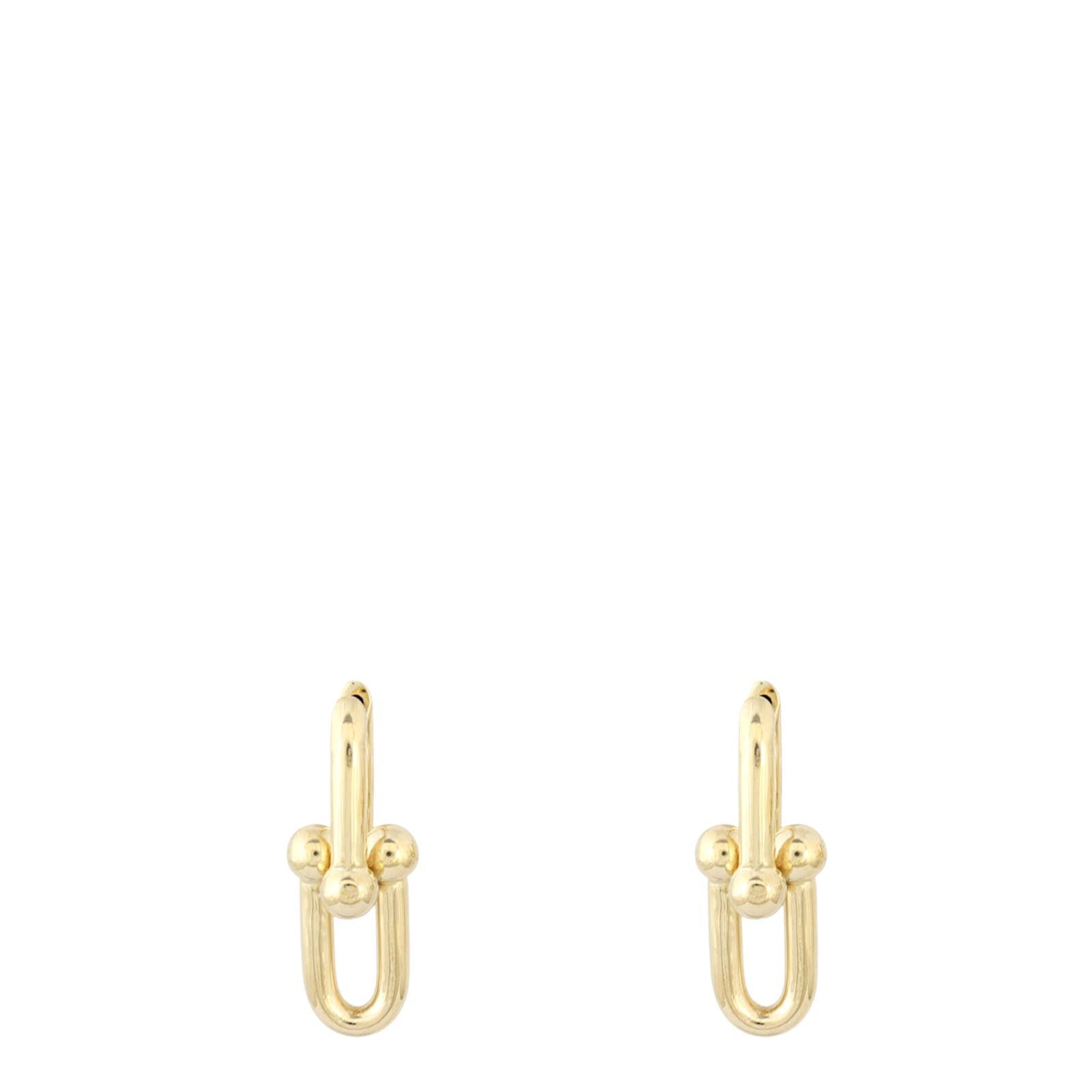 Tiffany Hardwear Medium Link 18k Yellow Gold Earrings_IMG_0209.jpg