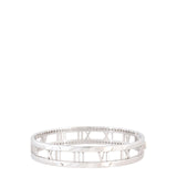 Tiffany & Co Atlas Diamond 18k White Gold Bangle_IMG_7726.jpg