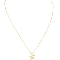 Tiffany & Co Elsa Peretti Starfish 18k Yellow Gold Pendant Necklace_IMG_6215.jpg