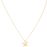 Tiffany & Co Elsa Peretti Starfish 18k Yellow Gold Pendant Necklace_IMG_6220.jpg