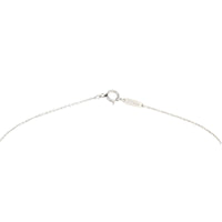 Tiffany & Co Enchant Primrose Key Diamond Platinum Pendant Necklace_IMG_9995.jpg