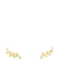 Tiffany & Co Olive Leaf Climber 18k Yellow Gold Earrings