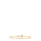 Tiffany & Co T1 Narrow Hinged 18k Yellow Gold Bracelet_IMG_2965.jpg