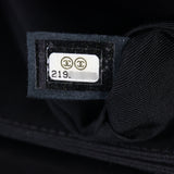 Chanel Pagoda Accordion Flap Bag Patent