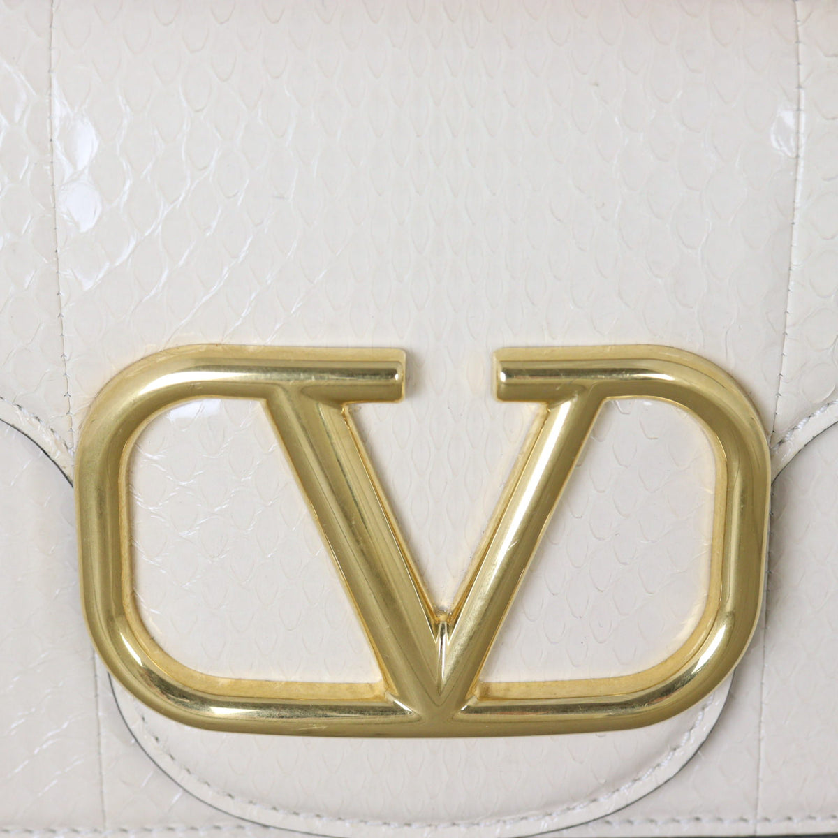 Valentino Vlogo Loco Shoulder Bag Medium Python_IMG_6059.jpg