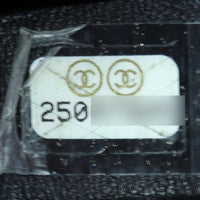 Chanel Coco Pleats Bucket Bag Medium