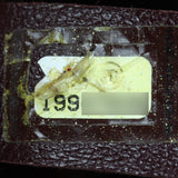 Chanel Quilted Chain Flap Bag Date Code