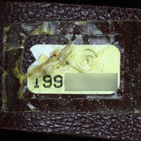 Chanel Quilted Chain Flap Bag Date Code