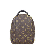 Louis Vuitton Palm Springs Mini Backpack Monogram Back