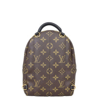 Louis Vuitton Palm Springs Mini Backpack Monogram Back