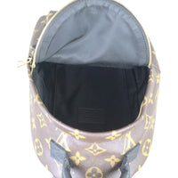 Louis Vuitton Palm Springs Mini Backpack Monogram Interior