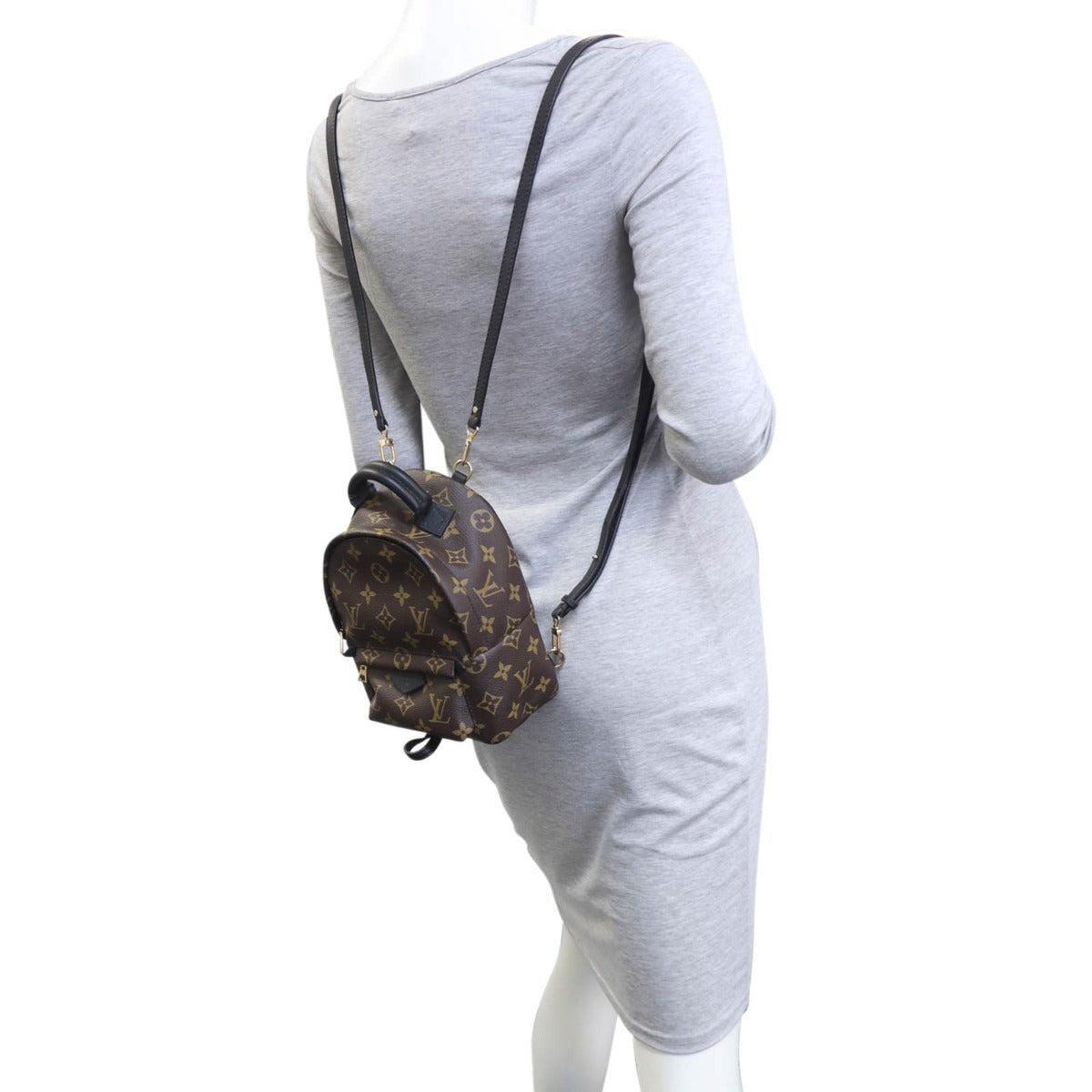 Louis Vuitton Palm Springs Mini Backpack Monogram Mannequin