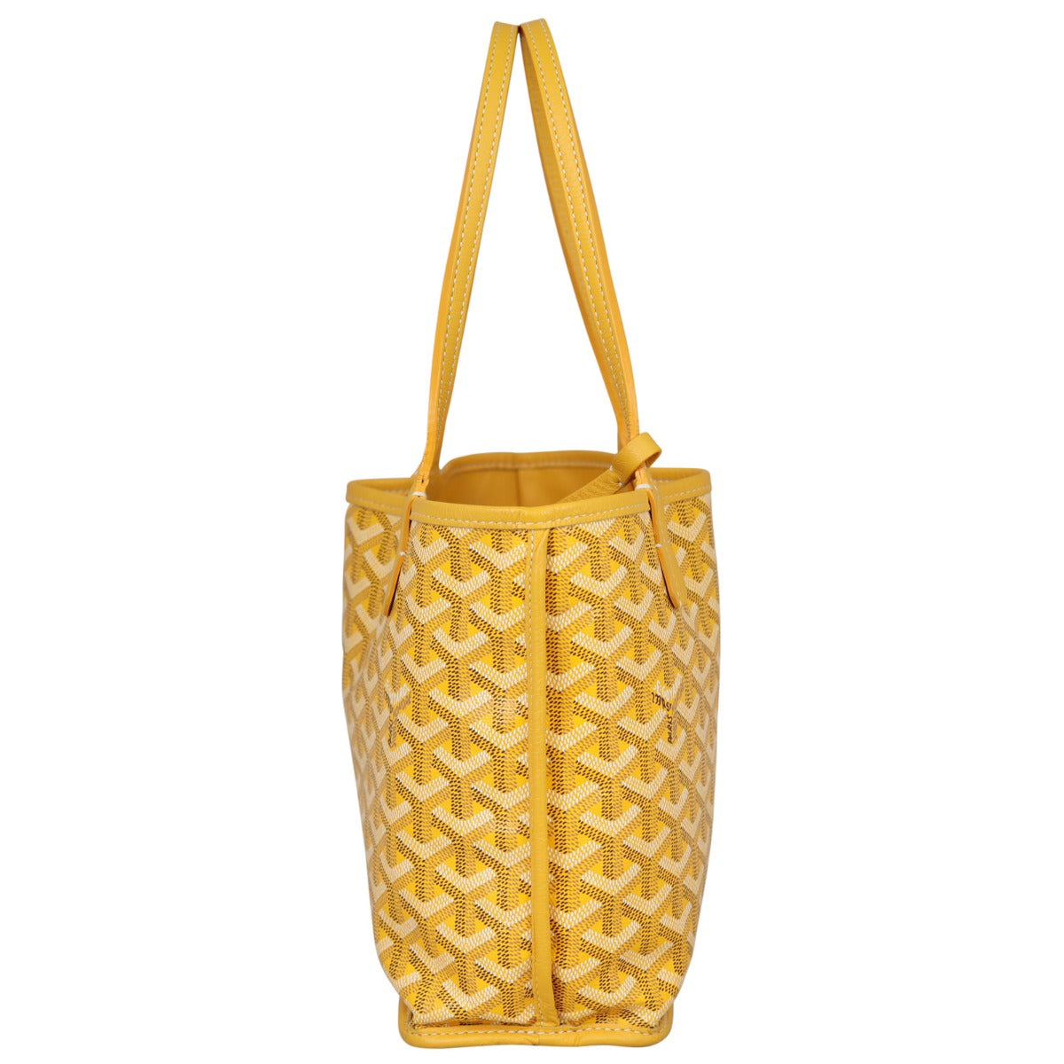 Goyard Anjou Mini Bag Side