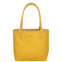 Goyard Anjou Mini Bag Back