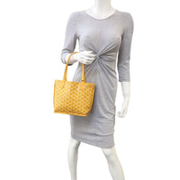 Goyard Anjou Mini Bag Mannequin