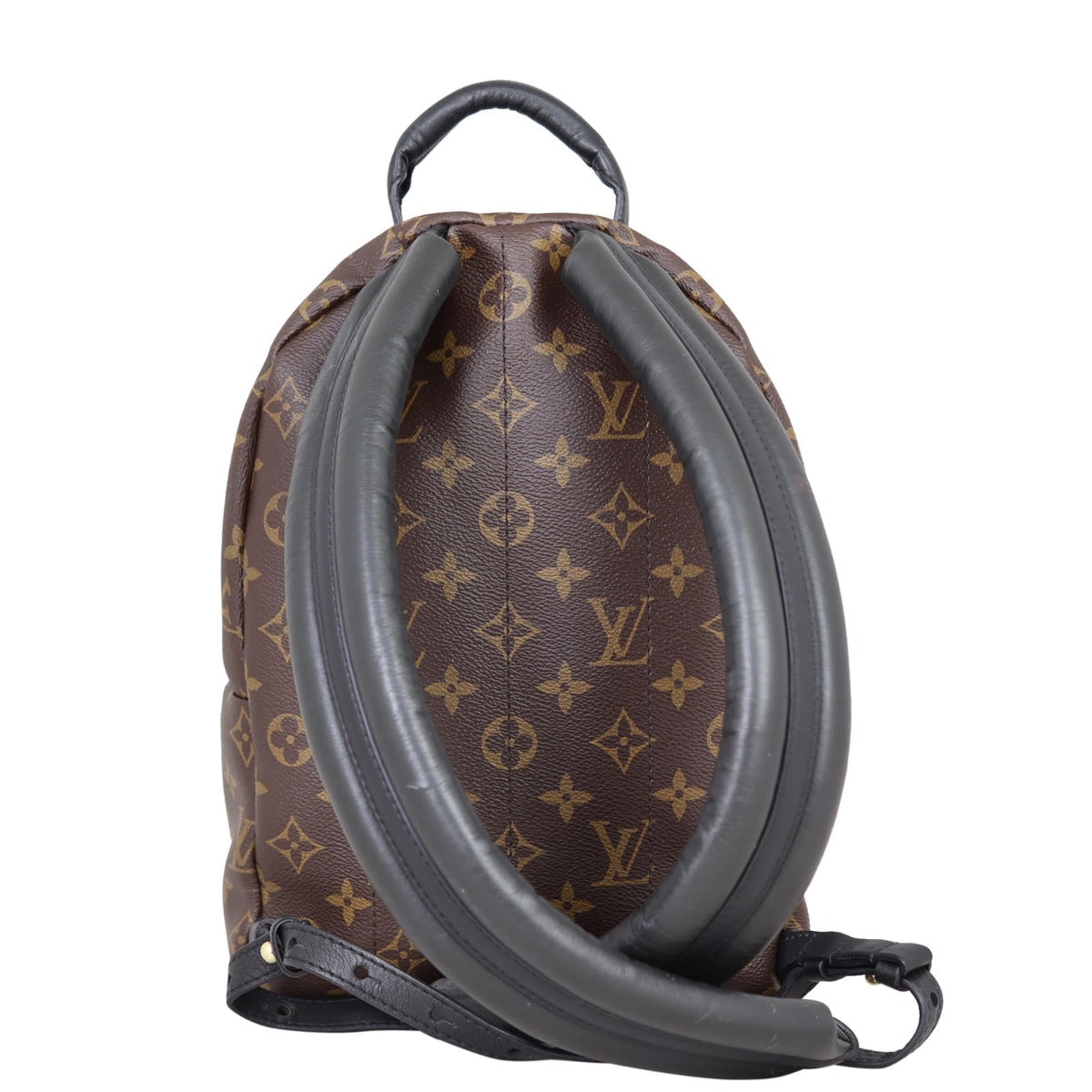Louis Vuitton Palm Springs Backpack PM Monogram Back