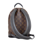 Louis Vuitton Palm Springs Backpack PM Monogram Back