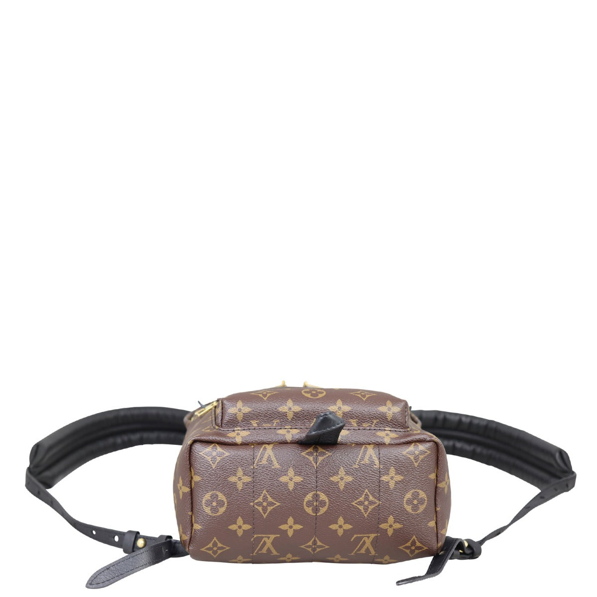 Louis Vuitton Palm Springs Backpack PM Monogram Base