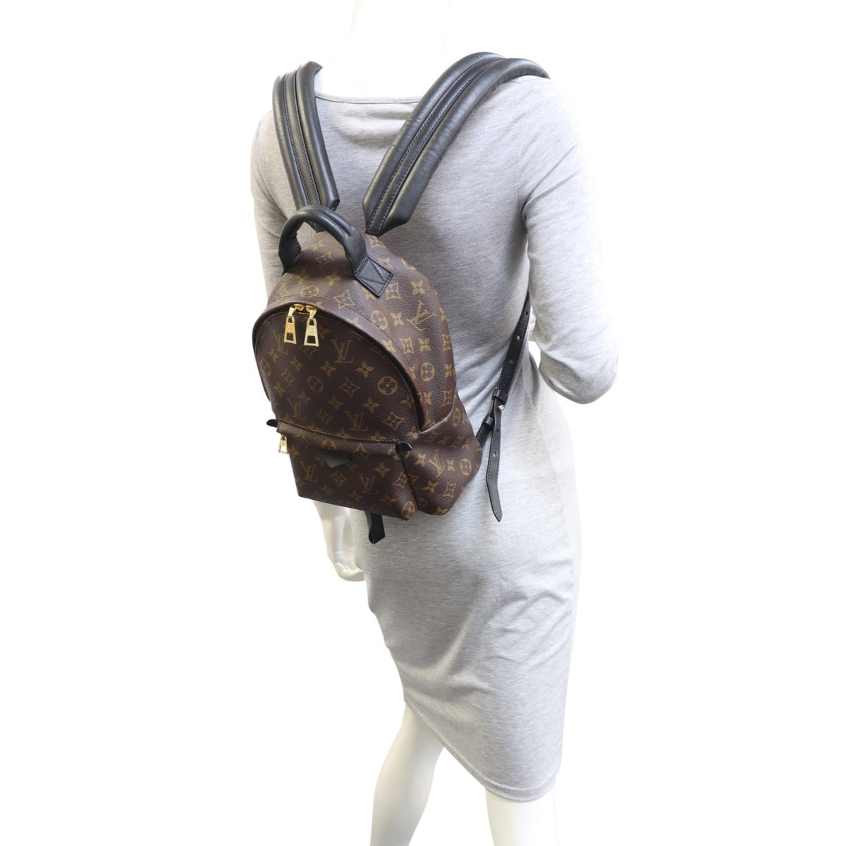 Louis Vuitton Palm Springs Backpack PM Monogram Mannequin