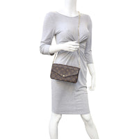 Louis Vuitton Pochette Felicie Monogram Mannequin