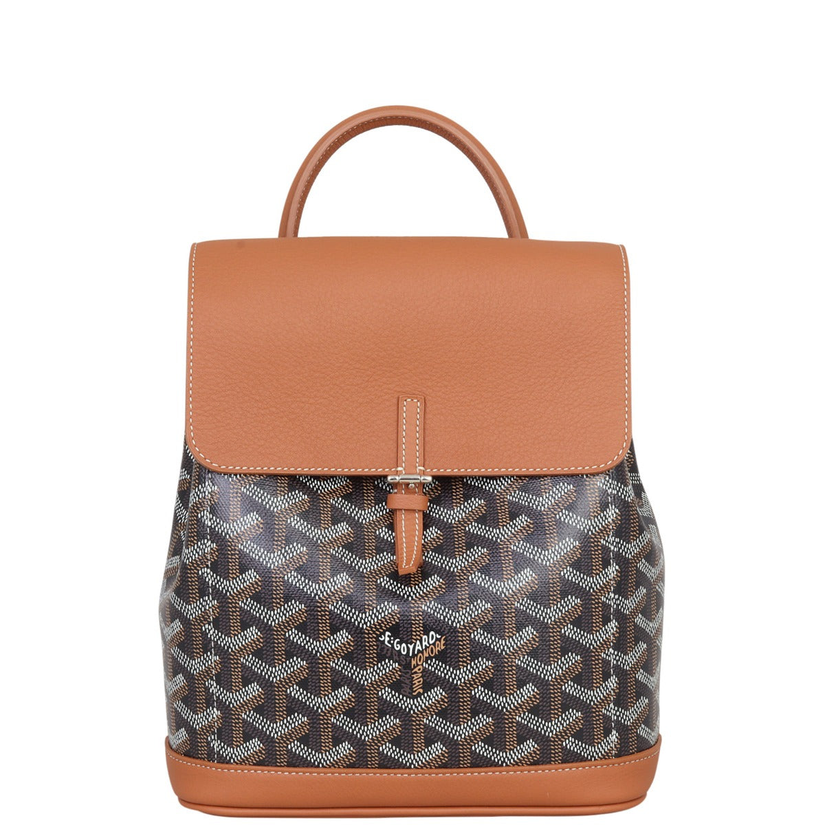 Goyard Alpin Mini Backpack  Front