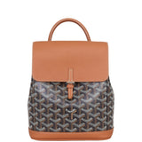 Goyard Alpin Mini Backpack  Front