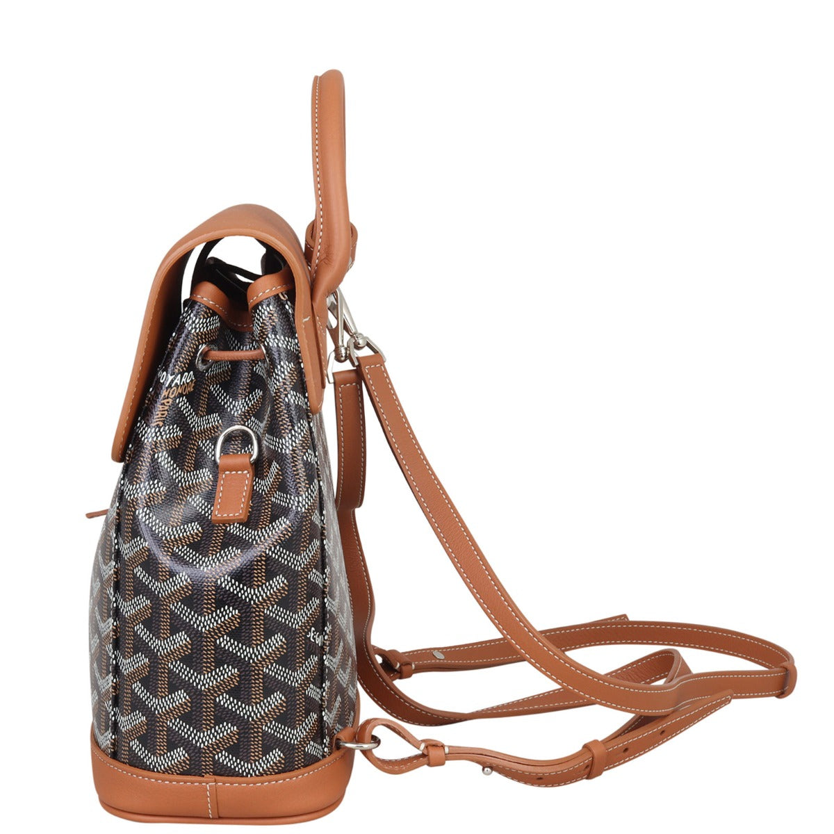 Goyard Alpin Mini Backpack Side