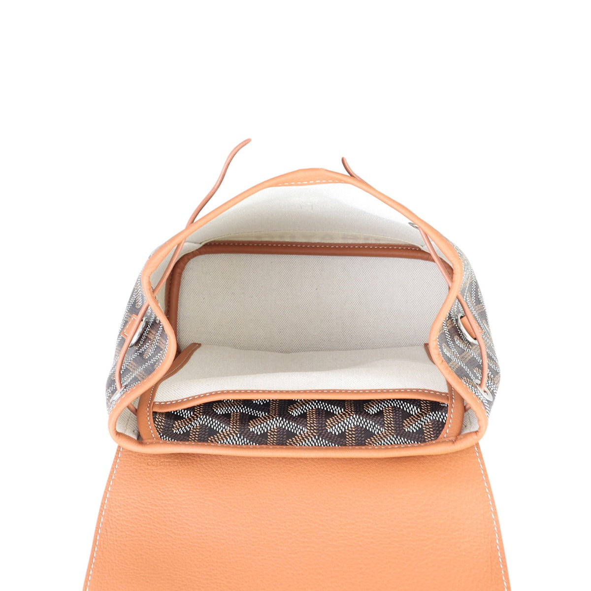 Goyard Alpin Mini Backpack  Interior