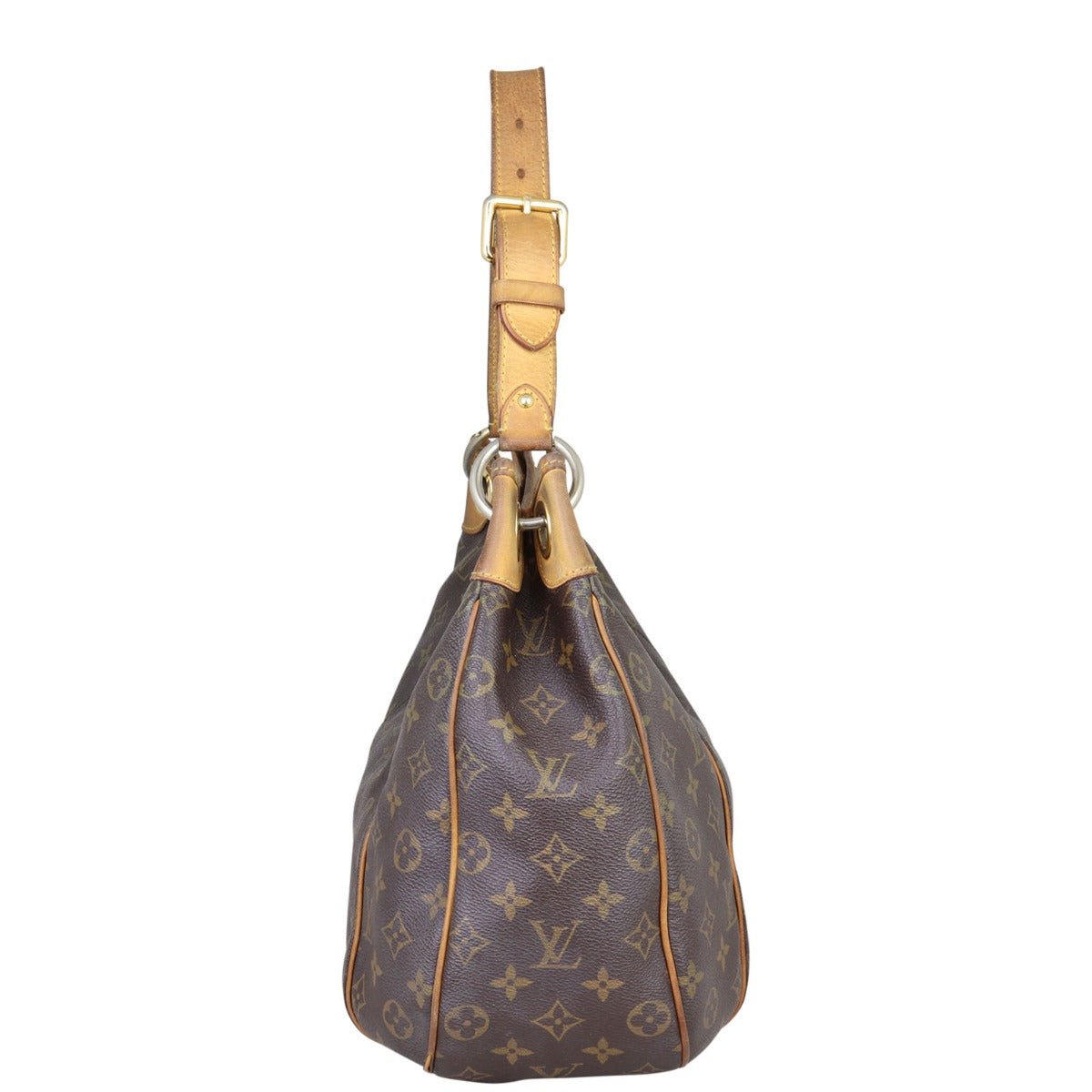 Louis Vuitton Galliera PM Monogram Side