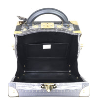 Louis Vuitton Inflated Trunk Interior