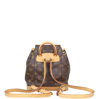 Louis Vuitton Montsouris PM Monogram Backpack Back