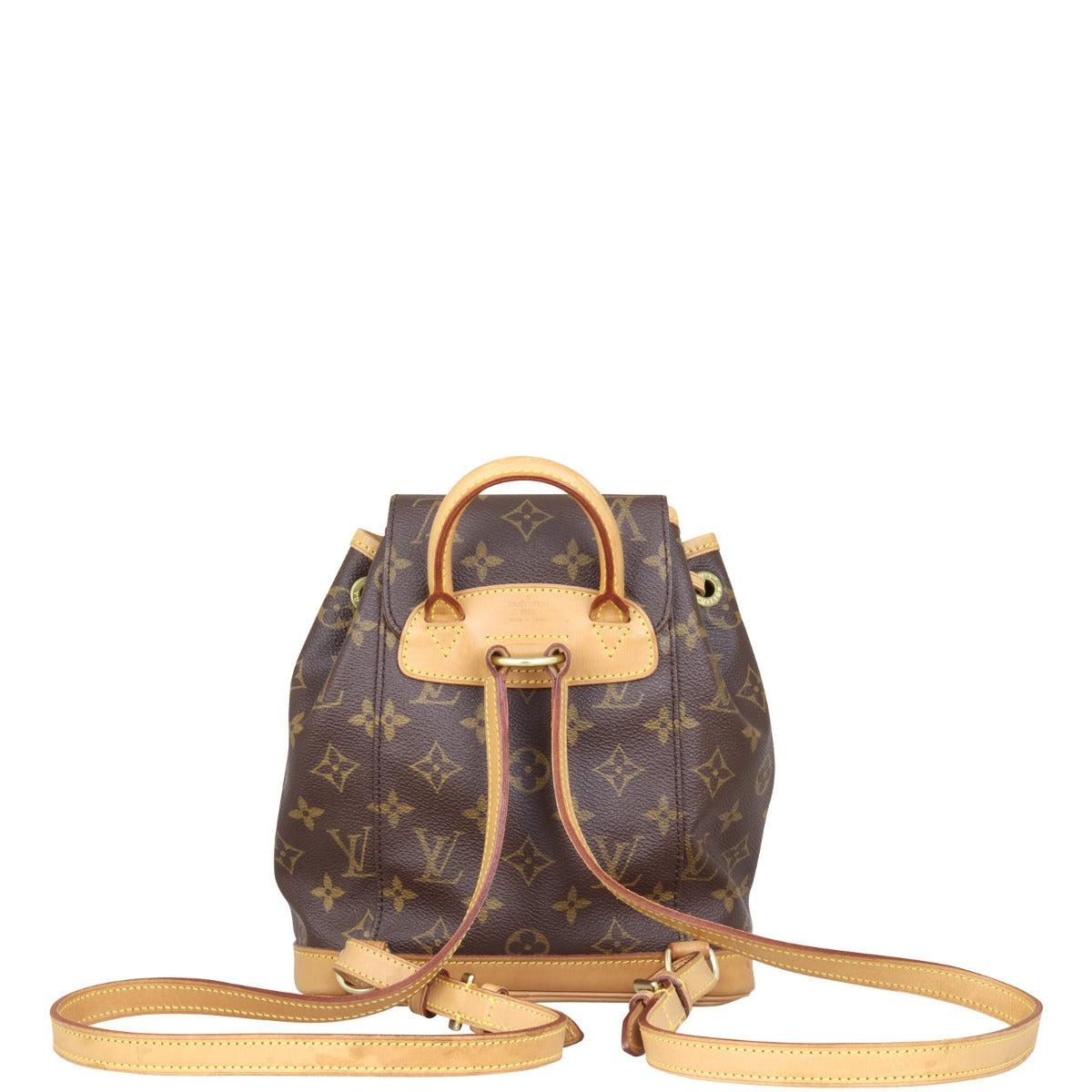 Louis Vuitton Montsouris PM Monogram Backpack Back