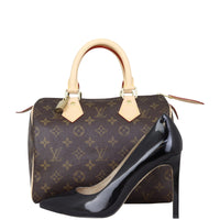 Louis Vuitton Speedy 25 Monogram Shoe