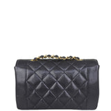 Chanel Diana Flap Bag Back
