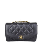 Chanel Diana Flap Bag Front