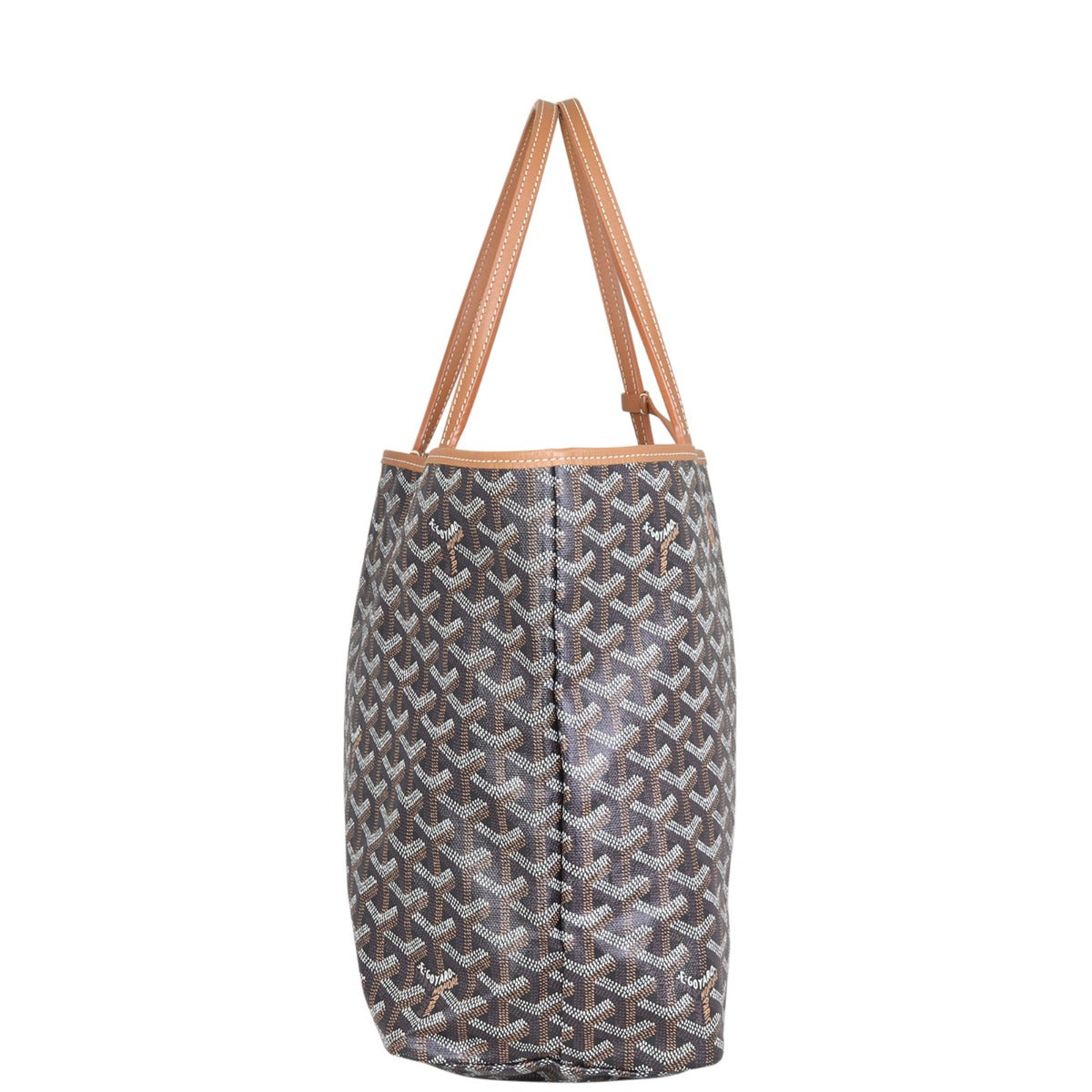 Goyard St Louis PM Goyardine (black/tan) Side