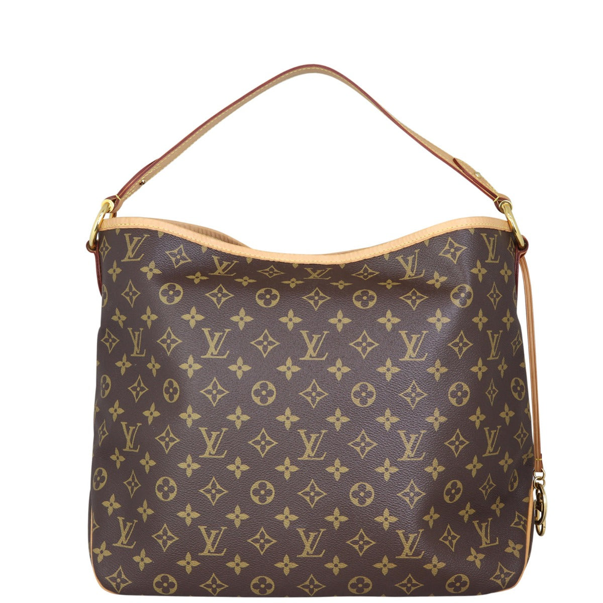 Louis Vuitton Delightful MM Monogram Front