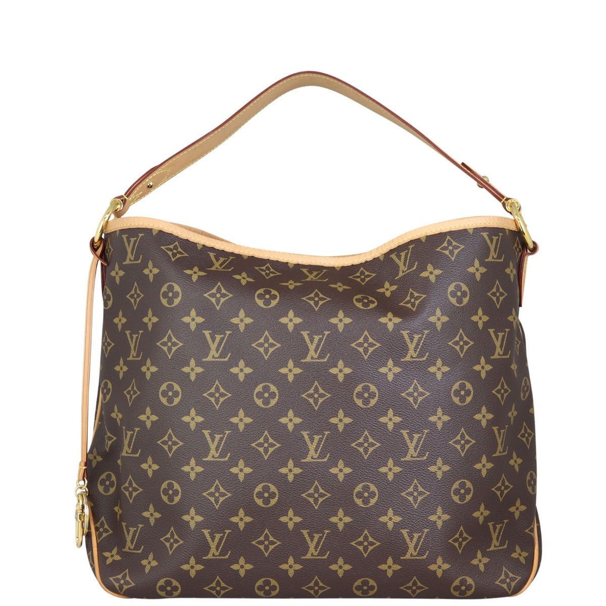Louis Vuitton Delightful MM Monogram Back