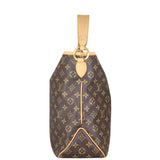 Louis Vuitton Delightful MM Monogram Side