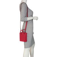 Louis Vuitton Petit Sac Plat Epi Mannequin