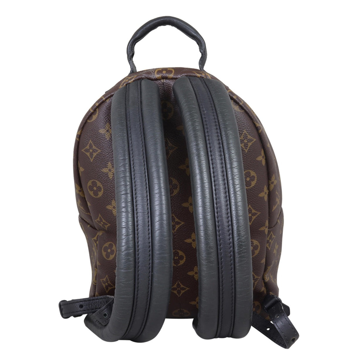 Louis Vuitton Palm Springs Backpack PM Monogram Back