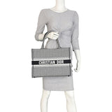 Dior Book Tote Medium Mannequin