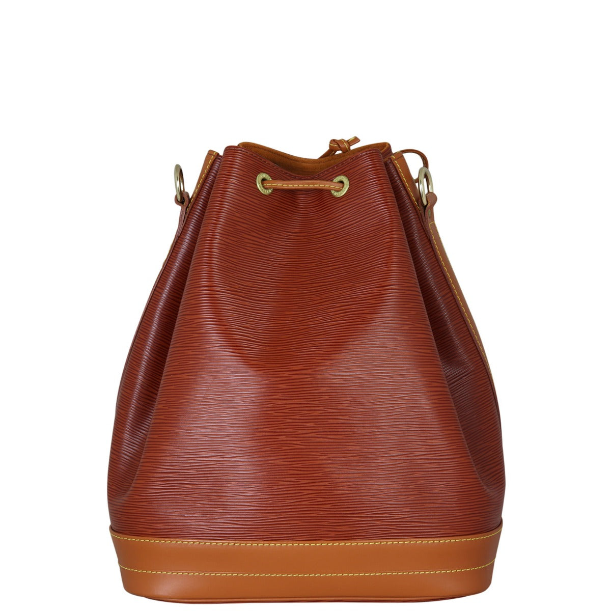 Louis Vuitton Noe Epi Back