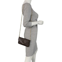 Louis Vuitton Pochette Felicie Monogram Mannequin