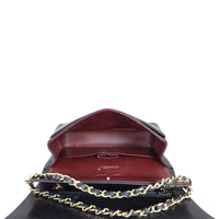 Chanel Classic Double Flap Medium (vintage) Whole Interior