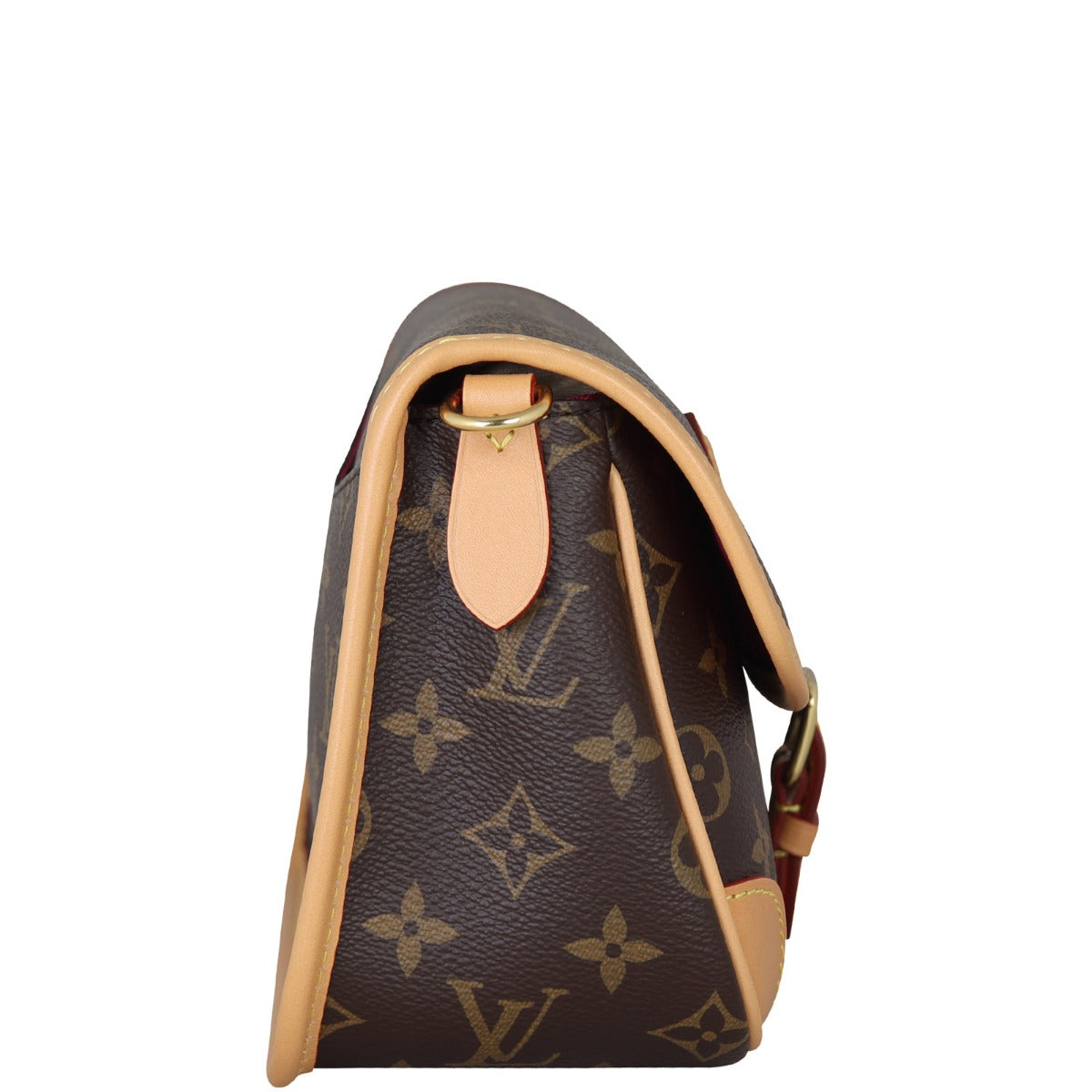 Louis Vuitton Diane Monogram Side